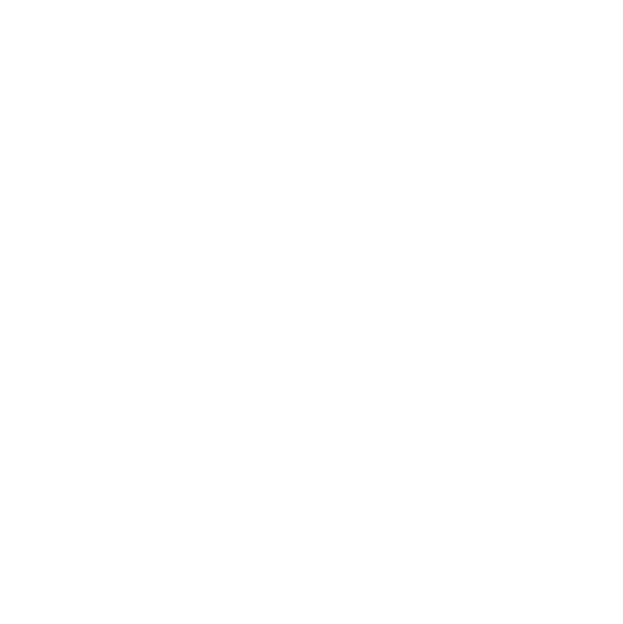 Elektrotechnik Schneider